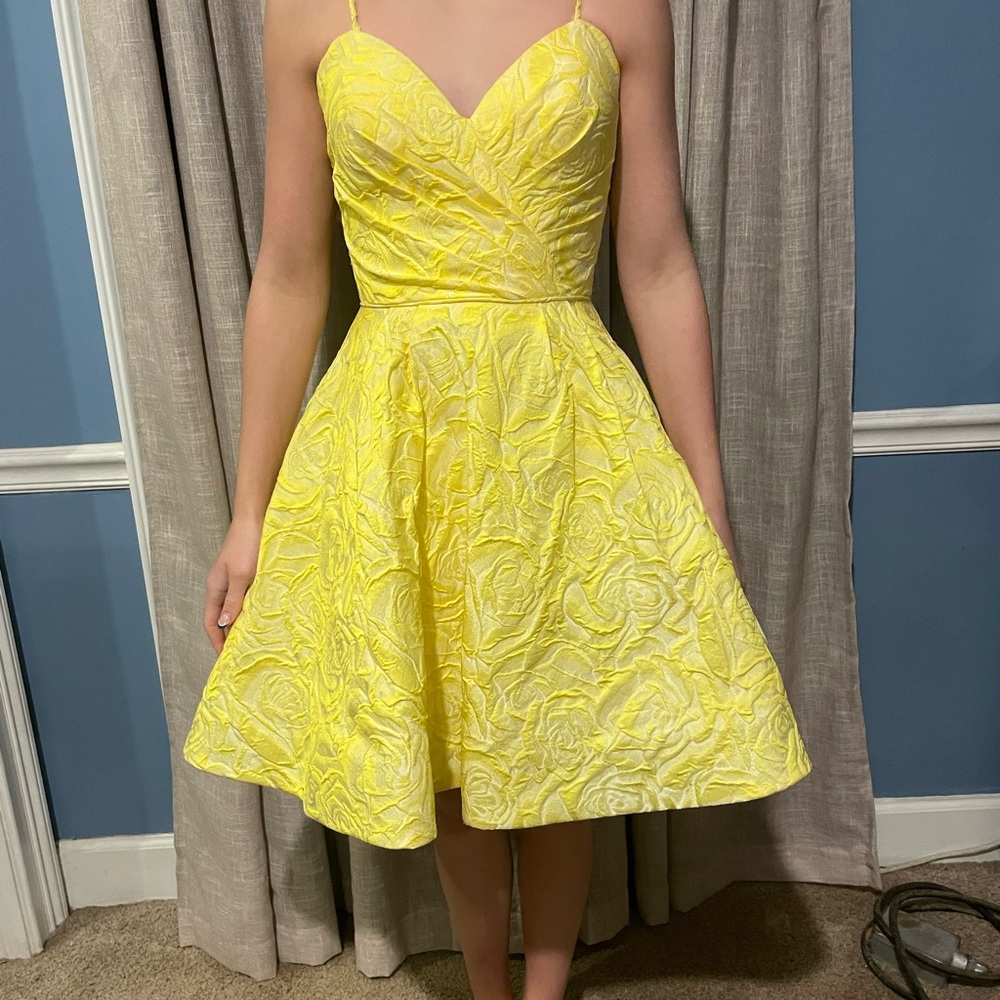 Homecoming or Prom Dresss
Tulip Bust, tight waist, crinoline twirling skirted